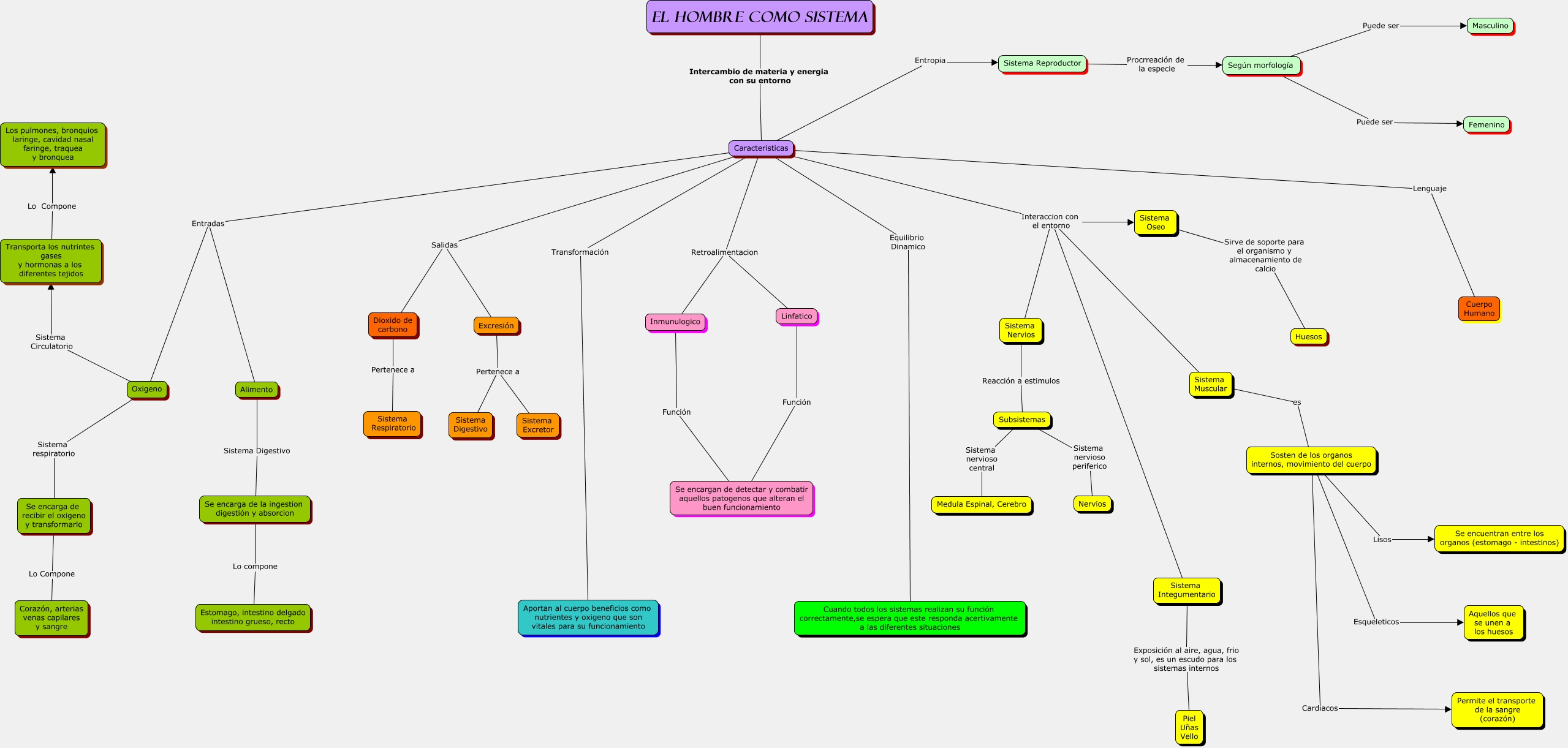 Mapa Conceptual El Hombre Como Sistema 9533